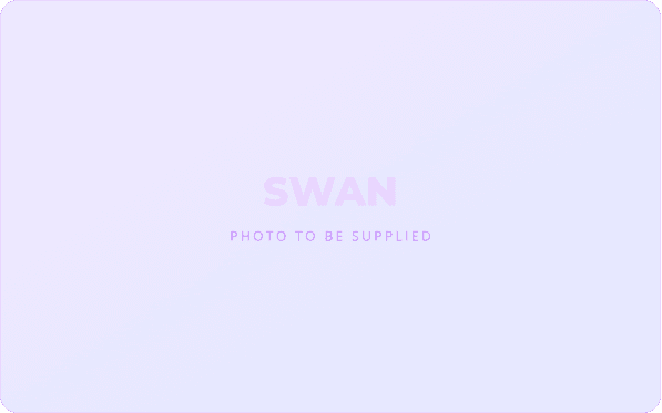 SWAN Smart Water Networks Conference, Barcelona